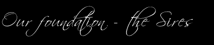 Our Foundation - The Sires